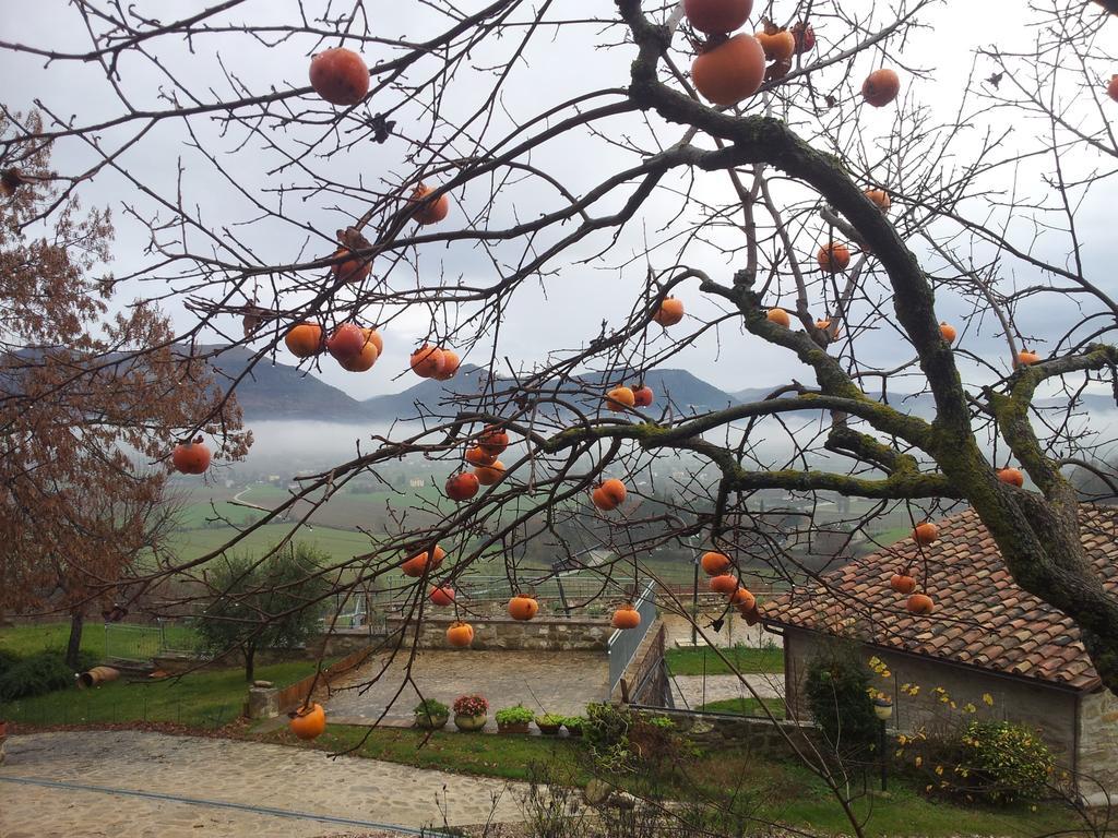 Vila Fonte Chiara Gubbio Exteriér fotografie