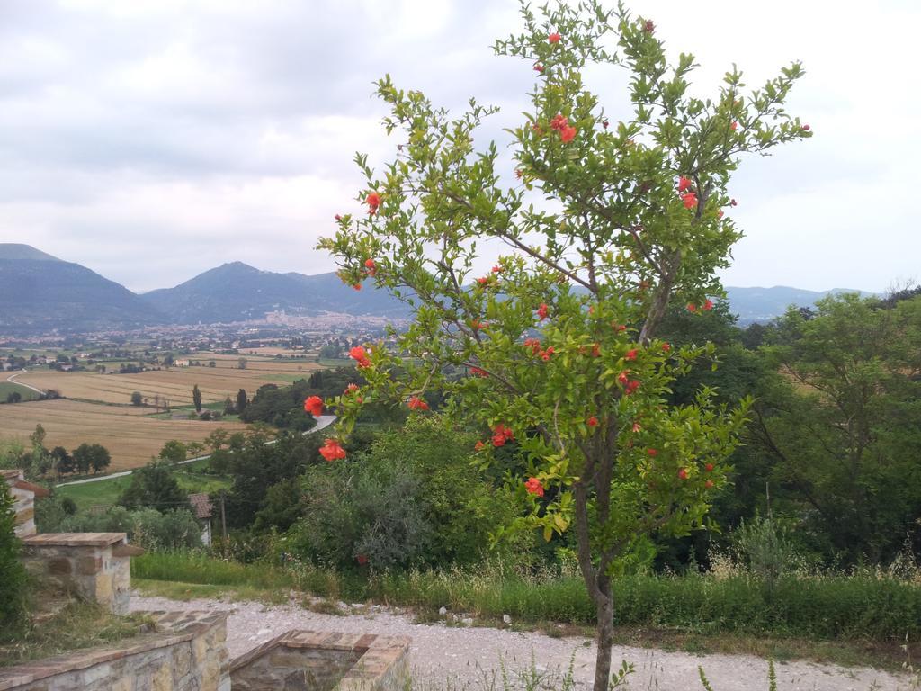 Vila Fonte Chiara Gubbio Pokoj fotografie